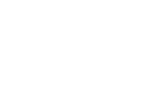 Degusta Pizza logo